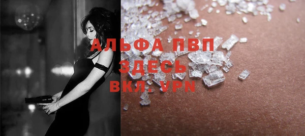 дмт Богданович