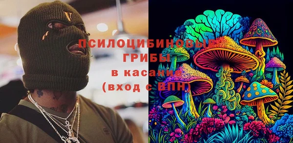 spice Богородицк