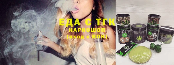 spice Богородицк