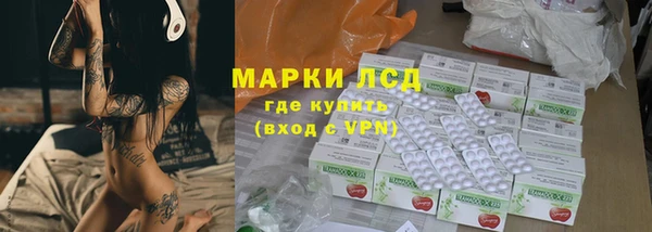 дмт Богданович