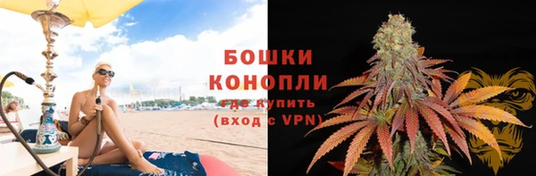 spice Богородицк