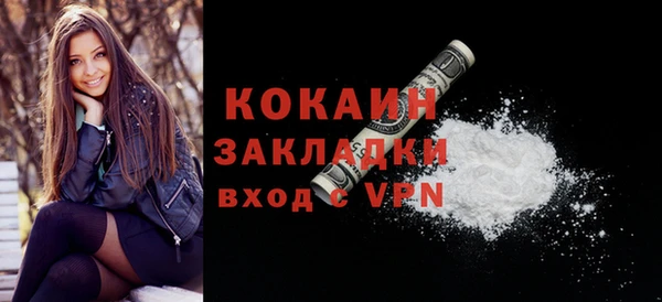 дмт Богданович