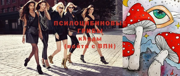 дмт Богданович