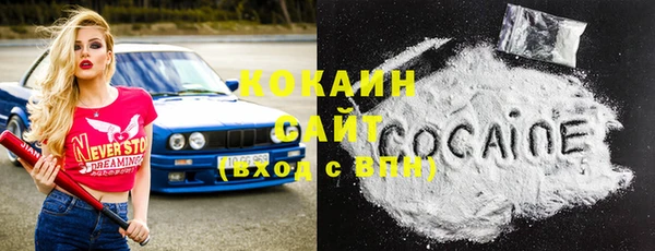 spice Богородицк