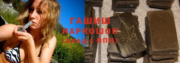 spice Богородицк