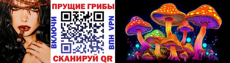 KRAKEN ССЫЛКА  Болотное  Галлюциногенные грибы GOLDEN TEACHER  дарнет шоп 